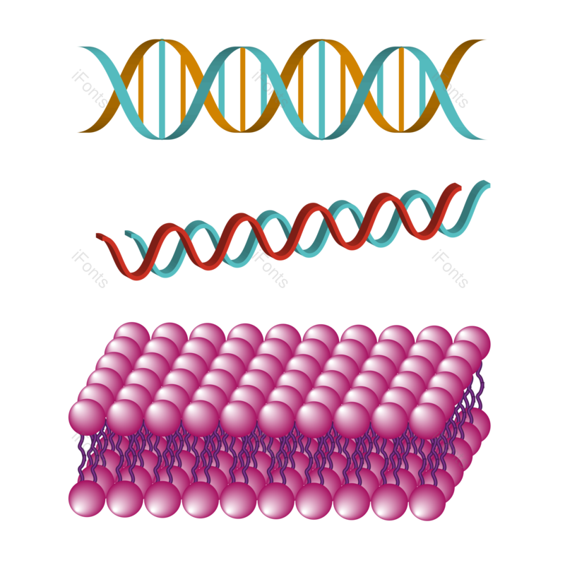 立体图片,科学元素,展示图PNG,化学免抠素材